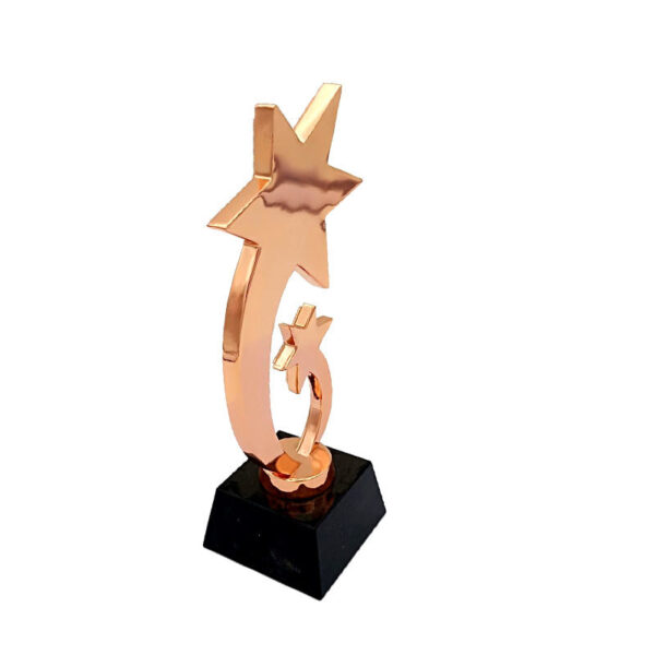 star trophy in copper color