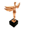 Bronze Award angle shape metal trophy